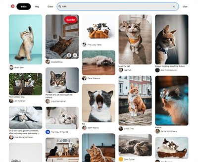 🐱 Clone Pinterest